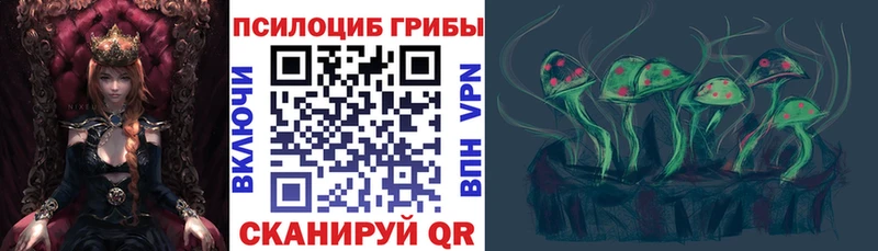 купить наркоту  Осташков  Галлюциногенные грибы GOLDEN TEACHER 